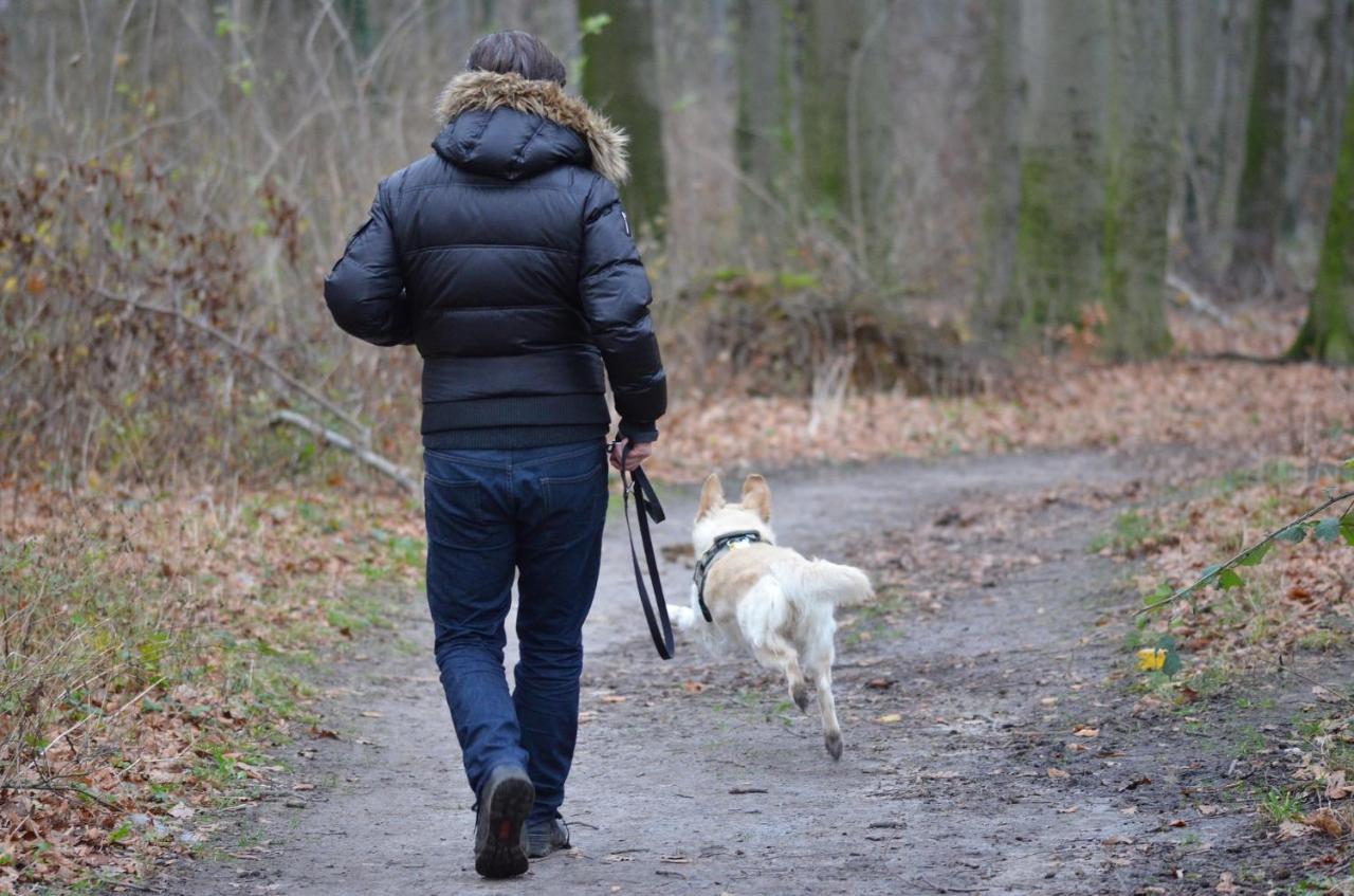 Ferienwohnung Am Bergmannsbrunnen Schönheide Zewnętrze zdjęcie