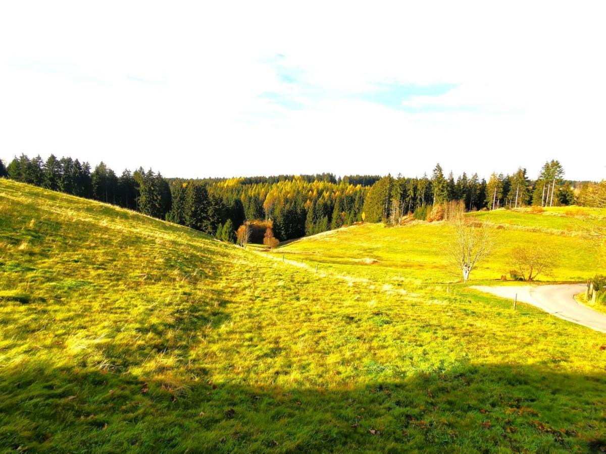 Ferienwohnung Am Bergmannsbrunnen Schönheide Zewnętrze zdjęcie